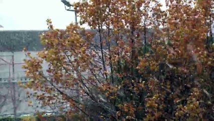 Martigues sous un "petit" manteau blanc surtout visible sur la colline de la Vierge