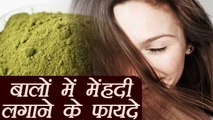 Henna Benefits For Hair | बालों में मेंहदी लगाने के फायदे । Boldsky