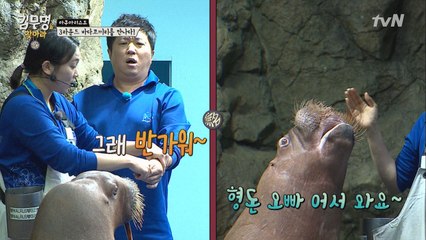 정형돈! 야생의 형도니를 만나다? (feat. 으어ㅇ어으ㅇ~)