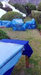 removal companies cape town
