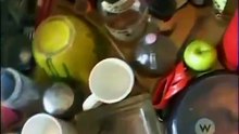 How Clean is Your House Creepy Crawlies