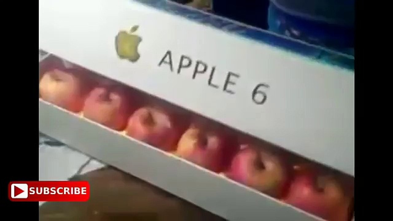Funny videos 2017