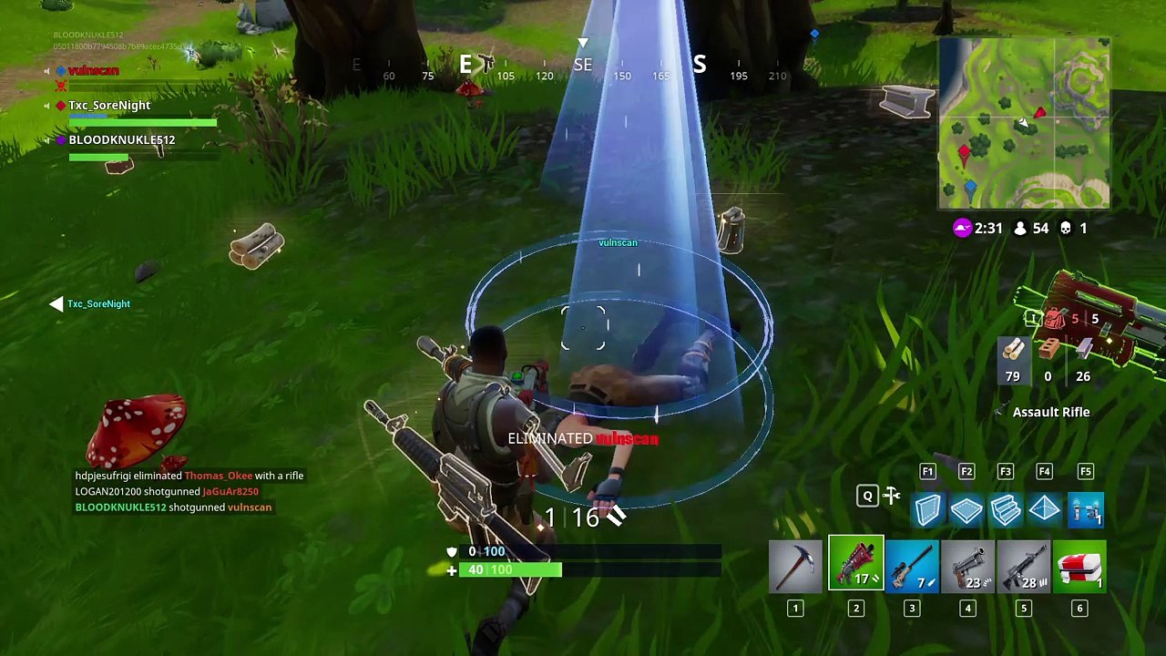 Fortnite_20171118130218