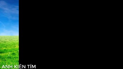 Dạy Bé Học Tên Các Con Vật - Con Mèo(Cats) - Learn Animail