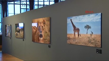 Oyuncu Engin Altan Düzyatan'ın Afrika'da Çektiği Fotoğraf Sergisi Açıldı