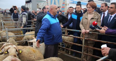 Akşener'den CHP ile İttifak Sinyali: İkinci Turda Hayır Blokunun Adayını Destekleriz