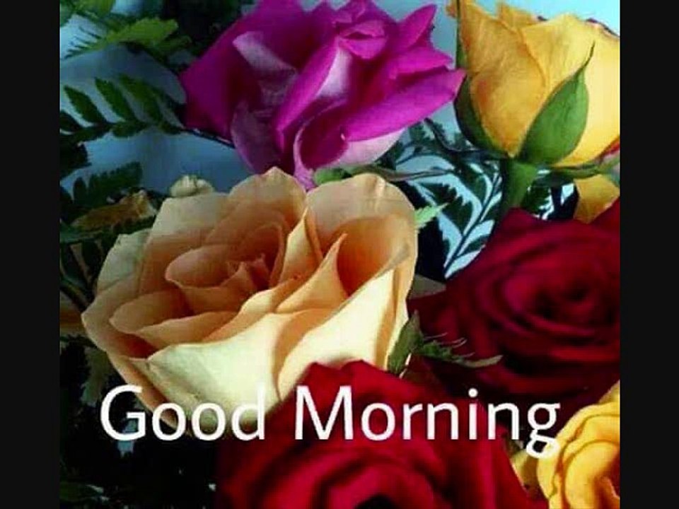 GOOD MORNING WISHES Good Morning Greetings whats aap vedios in English Hindi Odiya watchonline download