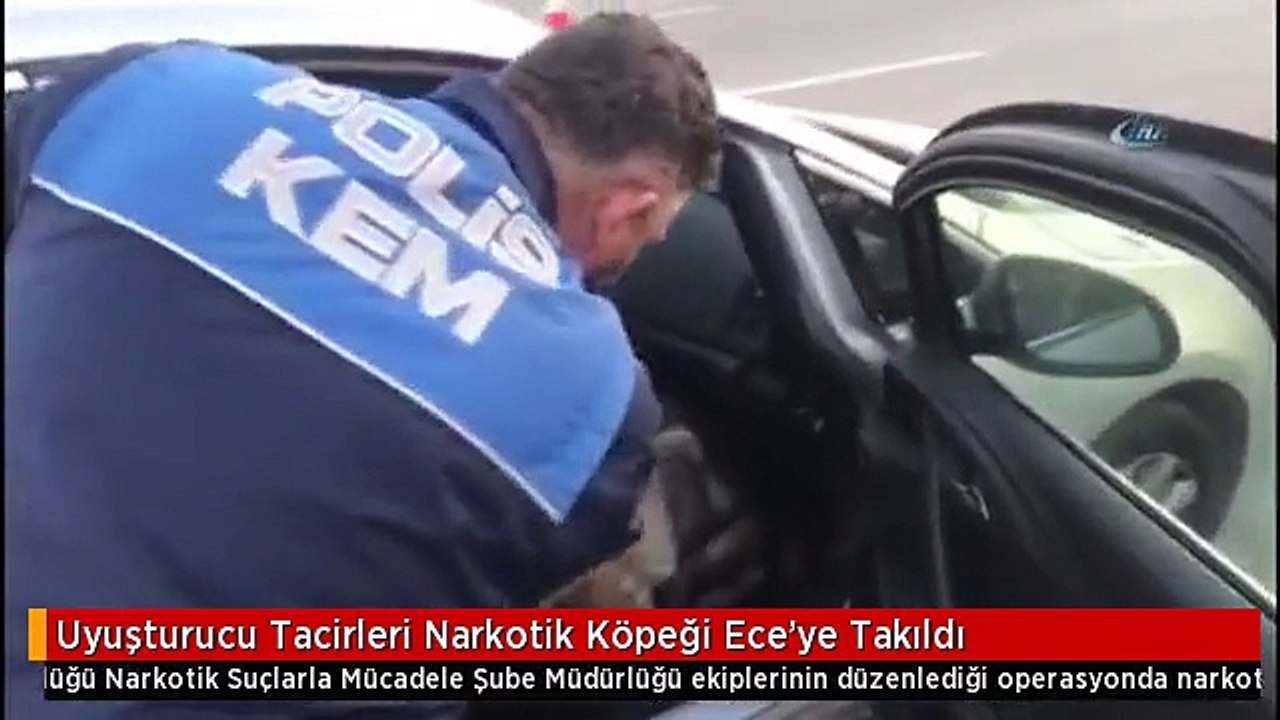 Uyuşturucu Tacirleri Narkotik Köpeği Ece'ye Takıldı