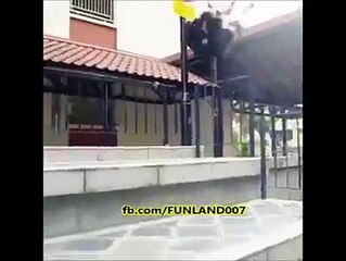 too much talented watch till end