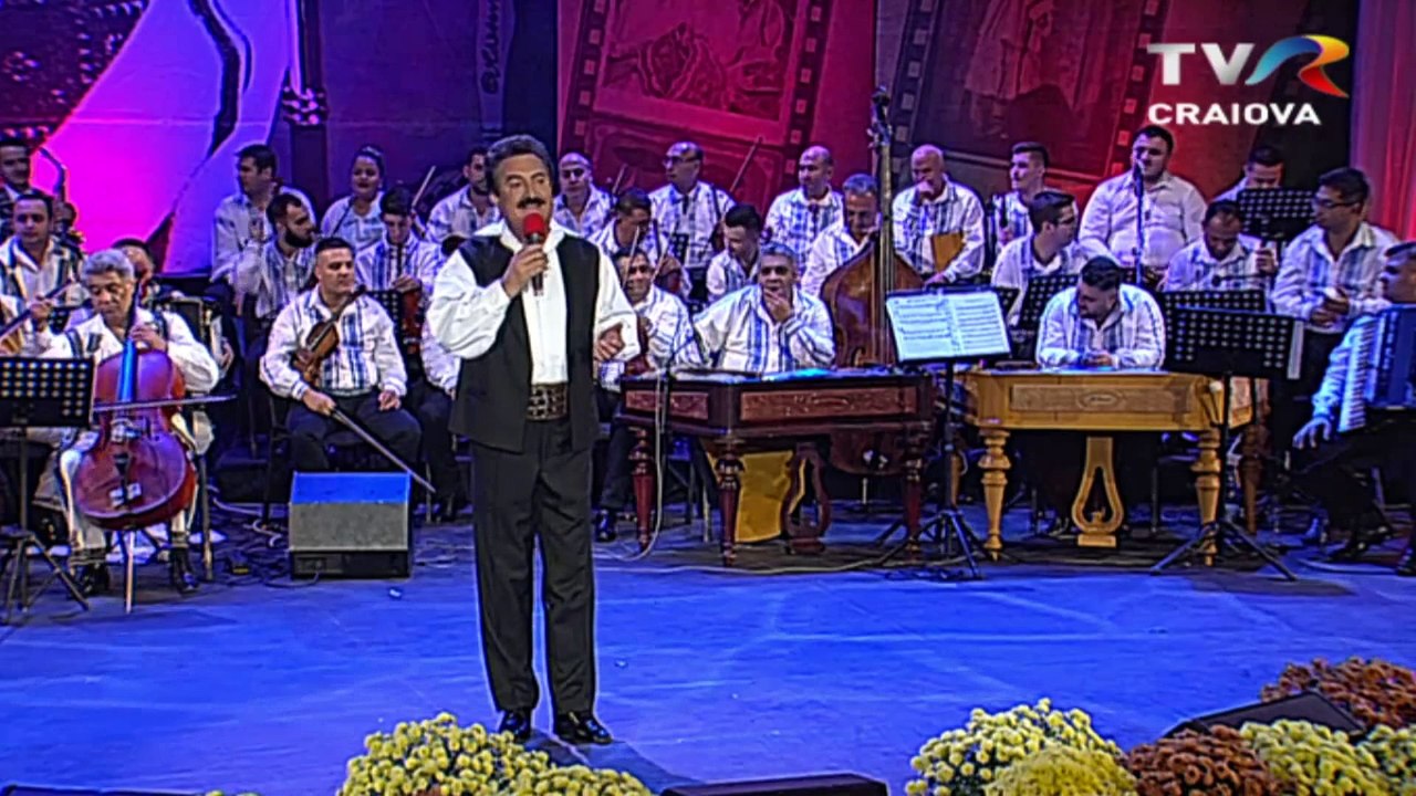 Petrică Mîţu Stoian - Verde-i frunza, verde-i iarba - live