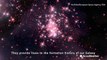 European Space Agency's Gaia mission discovers new massive star cluster