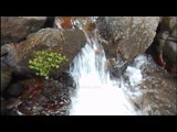 Bercé par les sons de la nature ? Cascade d’eau en montagne Torrents – Ambiance zen Bruit de l’eau – Vlog vacances