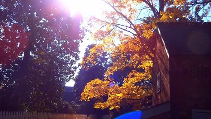 DIY: Increase Oil Pressure // Nashville // DIY: RV Upholstery Repair