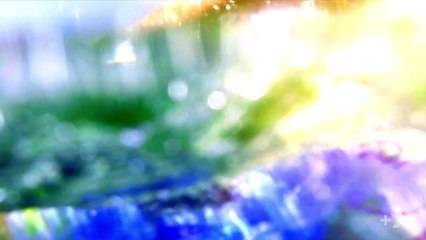 Home and Away Preview Episode 6780 Monday 20 November 2017