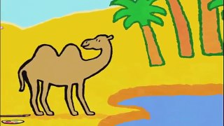 Didou, dessine-moi les animaux marins | Compilation | Dessins animés pour les enfants