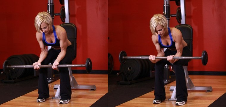 Fore Arms -Correct way to hit Seated palm up barbell wrist curls