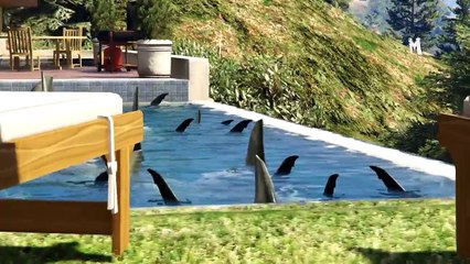 ماذا سيحدث اذا قفزت فوق مئة سمكة قرش في قراند 5؟ GTA V SHARK
