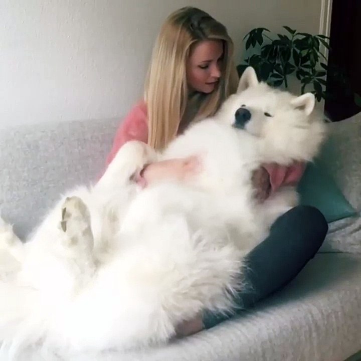 Un gros calin