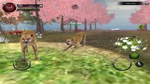 Wild Animals Online - Pack of Cheetahs - Android/iOS - Gameplay Episode 17