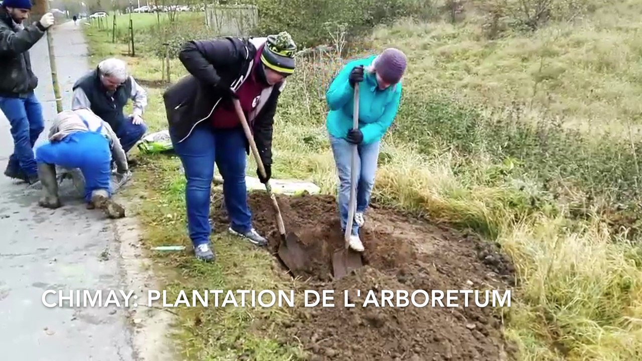 Chimay: l'arboretum est planté le long du RAVeL