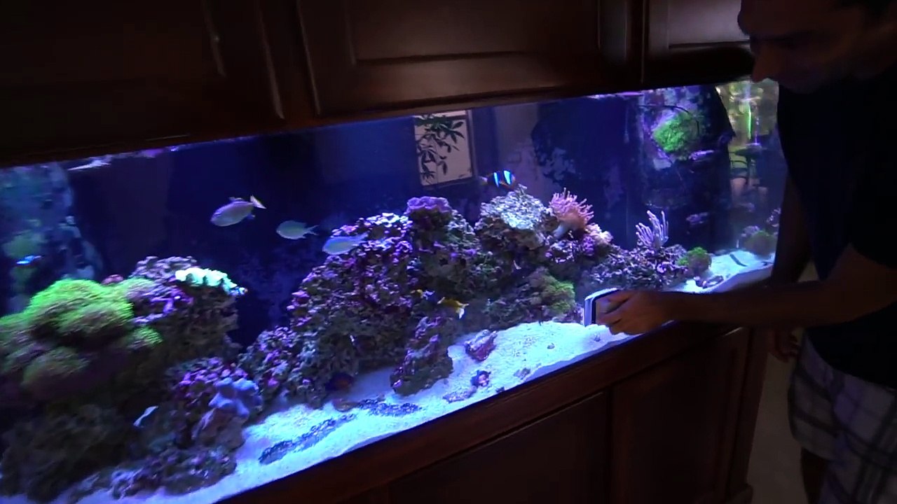 Jimmy Oakes BUILD OFF!!