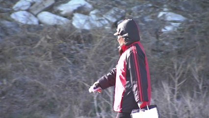 강원도 '한겨울 추위'...영동 건조특보 / YTN