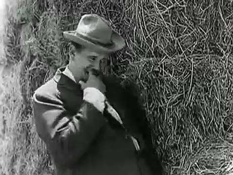 Sybil Seely- The Scarecrow (1920)