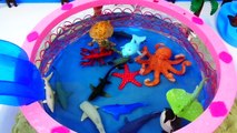 Learning Sea Animals Names Teach Babies, Toddlers, Children, Kids learn Sea Animal Toy Compilation