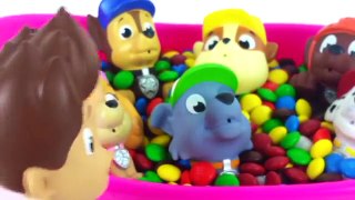 30 MINUTOS DE PATRULHA CANINA PORTUGUES PAW PATROL BEST LEARNING VIDEO FOR CHILDREN