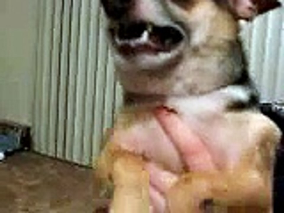 What a grouchy boy!!