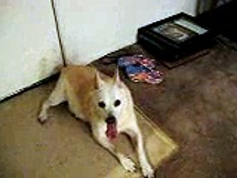 My boy Van trying to catch his breath