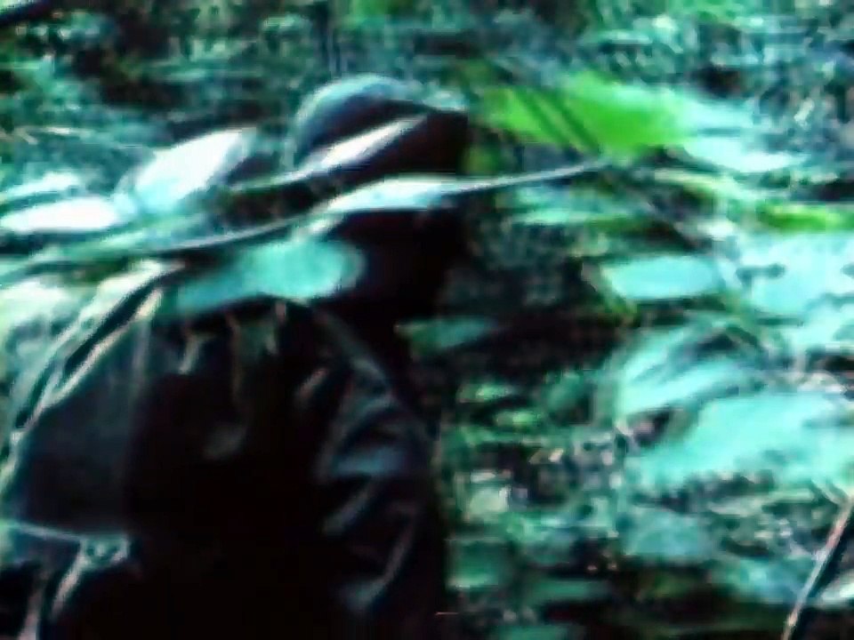 US Army Alaska 1972; Alaskan Army Activities