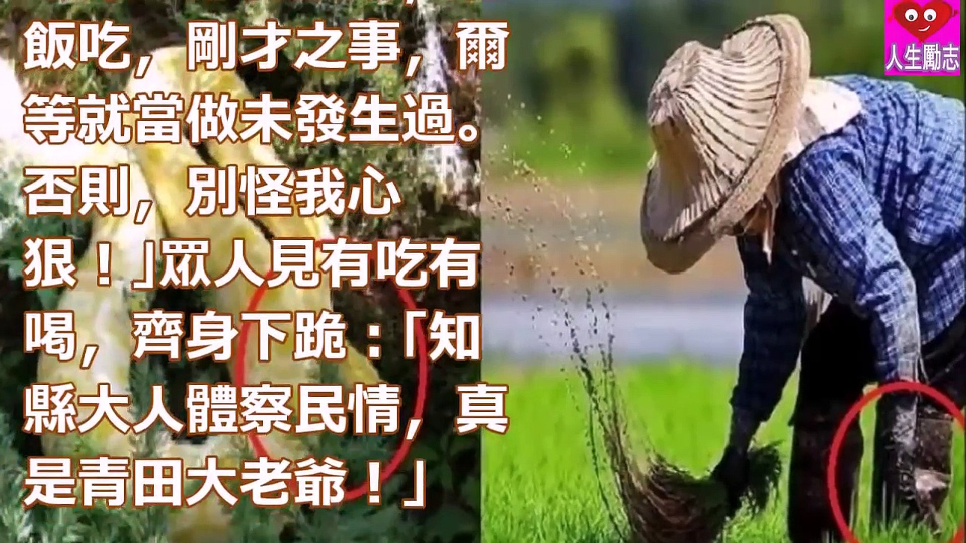 老漢救下 雞冠蛇 回家後發現全家被滅門 深夜 雞冠蛇 重返村人七竅流血而亡 Video Dailymotion