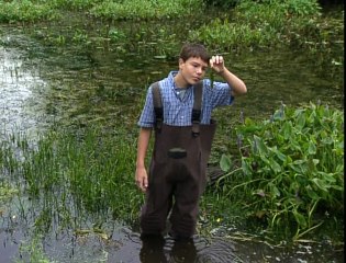 Simple Organisms In Action Protists