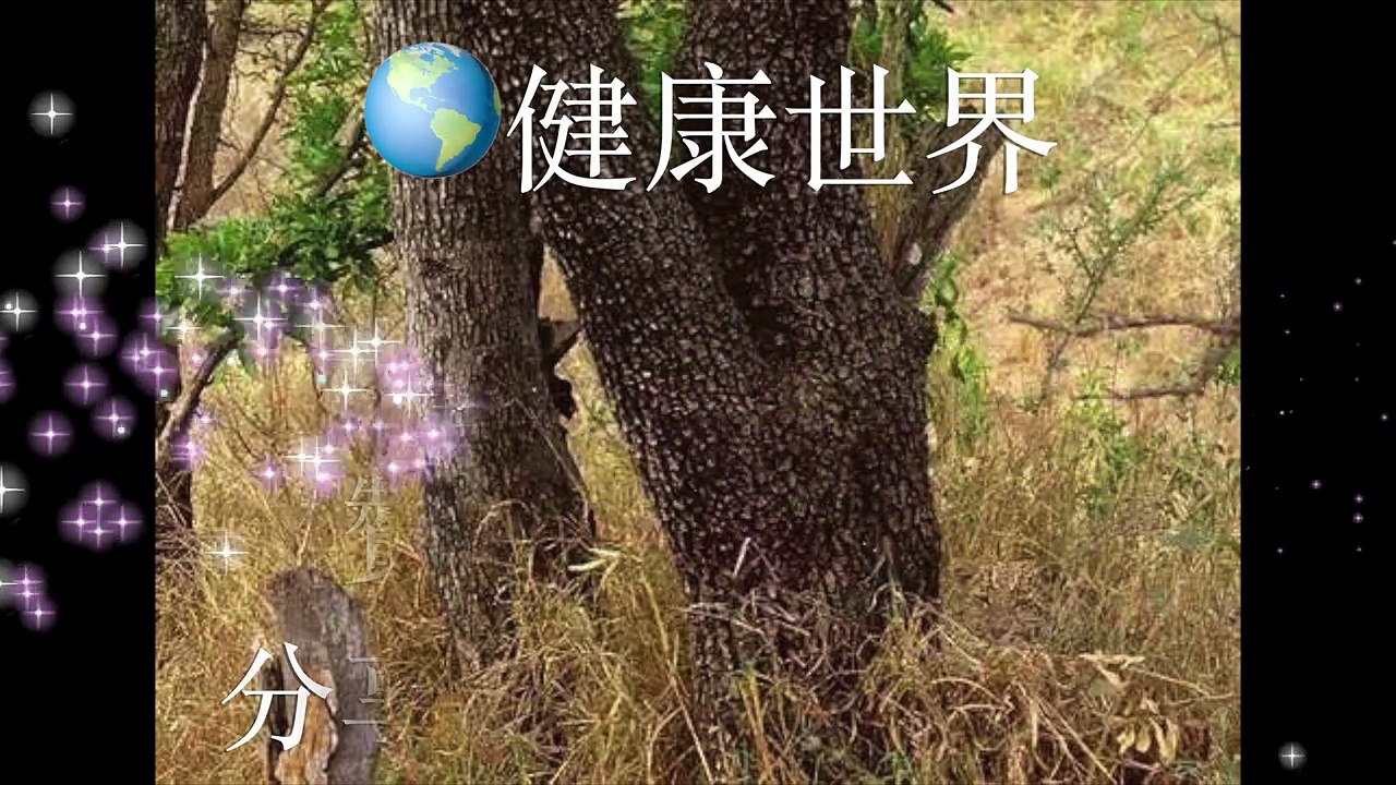 這張圖上有凶猛的老虎 據說 99.9% 的人找不到 您找到了嗎？