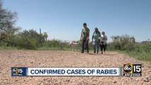 Two confirmed cases of rabies in Superstition Mountains