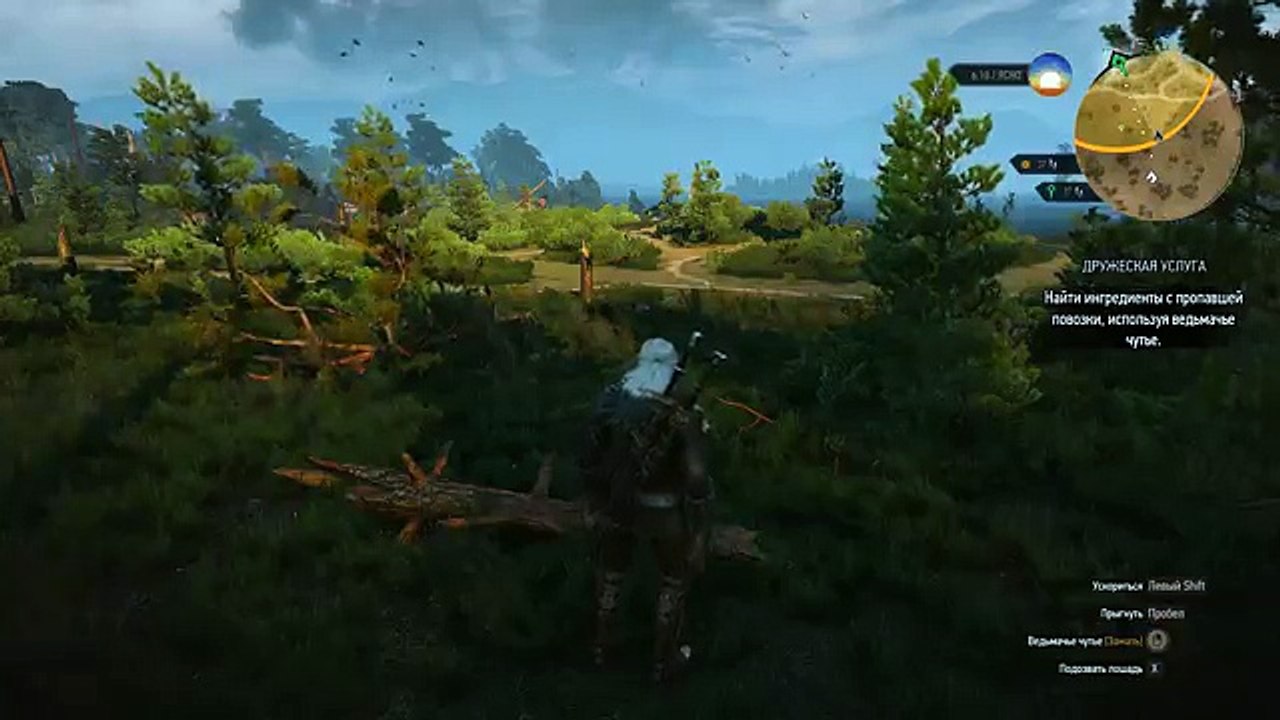 Прохождение Ведьмак 3, Дружеская Услуга, Секс с Кейрой Мец