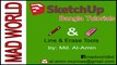 Google Sketchup Bangla Tutorial, Line & Erase Tools, MAD WORLD