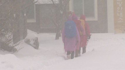 [날씨] 최강 추위 속 서해안·한라산 첫눈...울릉도 10cm 폭설 / YTN