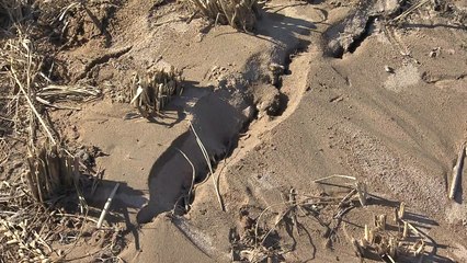 "액상화 확실한 증거"...정부 전면 조사 착수 / YTN