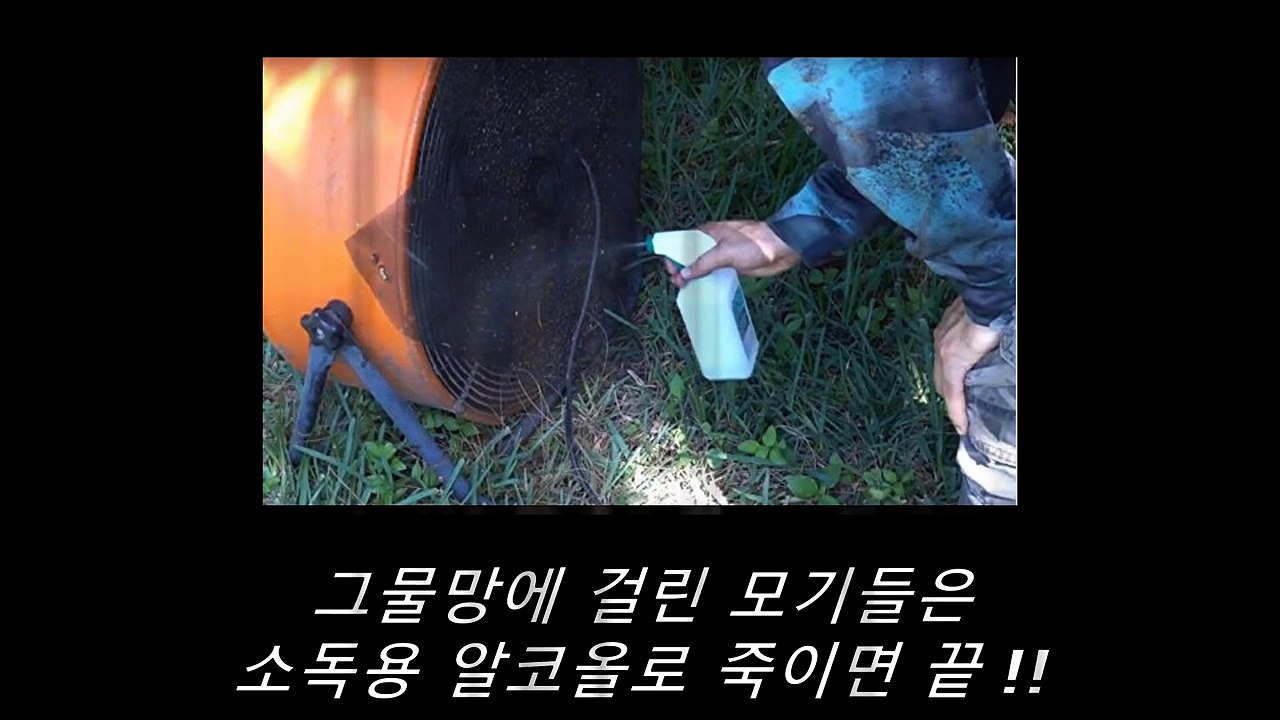 매일 밤 물어뜯는 모기에 분노 폭발해 모기 8천마리 대학살한 남성