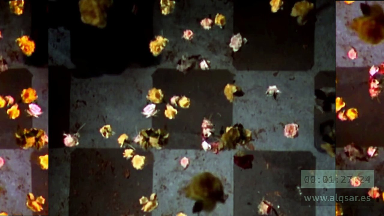 black - everything's coming up roses