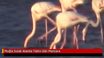 Muğla Sulak Alanda Tablo Gibi Manzara