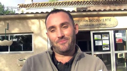 Les explications de Jérôme Francisci, responsable du Parc de Figerolles.