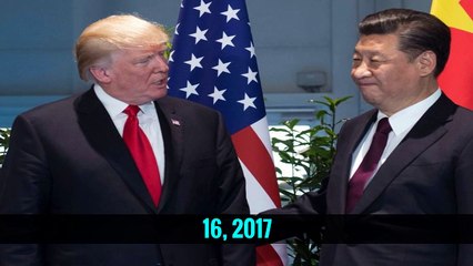 Trump Administration to Lift Ban on ‘Trophy’ Elephant Imports