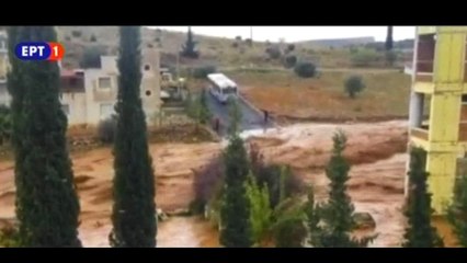 Συγκλονιστική η μαρτυρία του προπονητή Κ. Παρθενίου