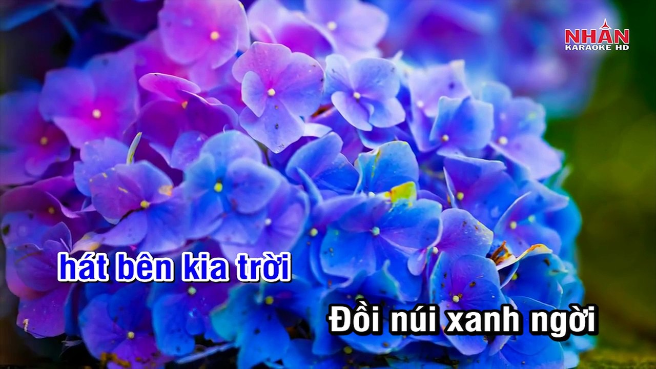 Nắng Có Còn Xuân (Karaoke Beat) - Tone Nam