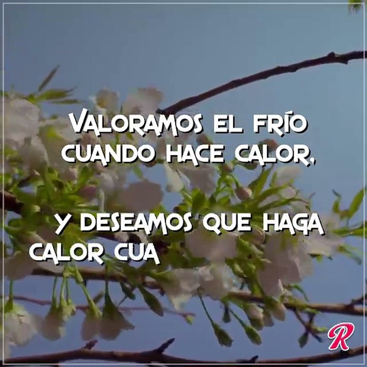 la vida es esto...
