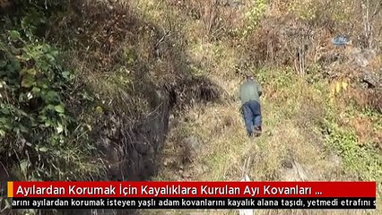 Ayılardan Korumak İçin Kayalıklara Kurulan Ayı Kovanları Havadan Görüntülendi