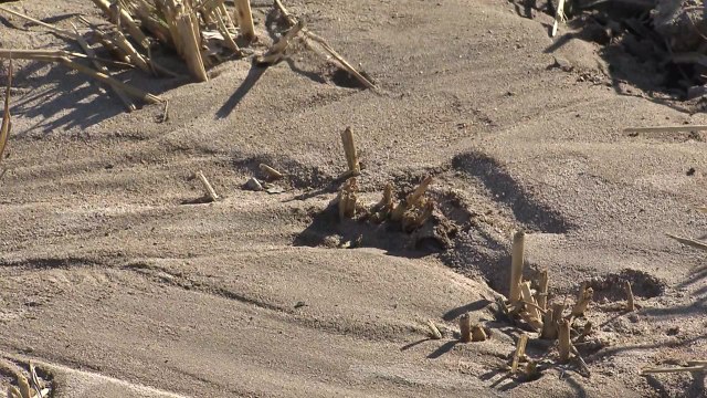 액상화 확실한 증거 ...정부 전면 조사 착수 / YTN